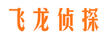 桃城市婚外情调查